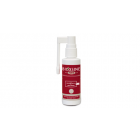 BIOXSINE Forte Serum Spray