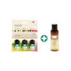 Aromalife Set «Hautsache» (inkl. BASIS Emulsion)
