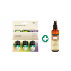 Aromalife Set «Nervenkostüm» (inkl. BASIS Raumspray)