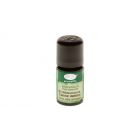 Aromalife Weisstanne ätherisches Öl Bio Wildsammlung