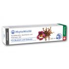 PhytoWorld Teufelskralle, Gaultheria und Rosmarin Gel