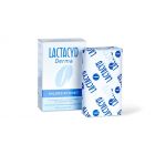 LACTACYD Derma Mildes Syndet