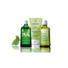 Weleda Birken Cellulite Programm