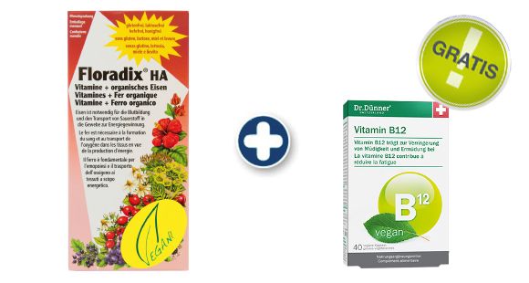 Floradix Set Vegan Vitamin B 12