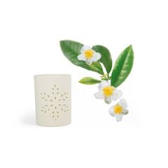 Eduard Vogt Therme Romantic light Balance