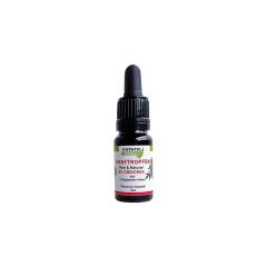 naturatrend Bio-Hanftropfen mit 8% CBD