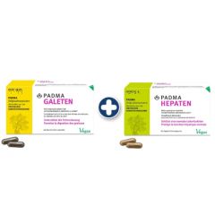 Kleine Kur PADAM Hepaten und Galeten